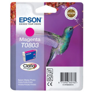EPSON / C13T08034011 (magenta)