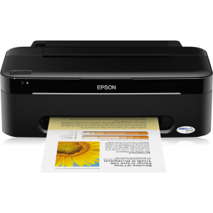 EPSON Stylus S22 (C11CA83321)
