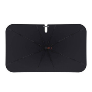 Samochodowy parasol...